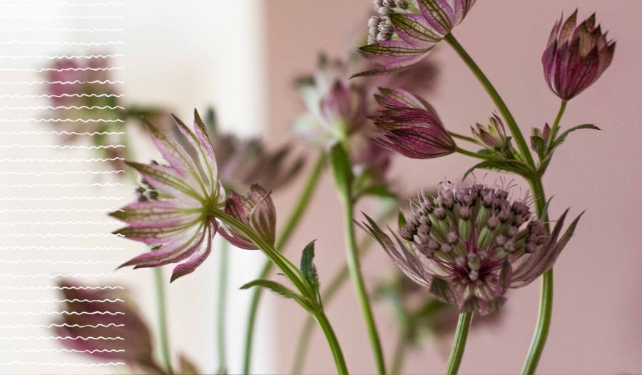 Gebed: Ga voor mij uit